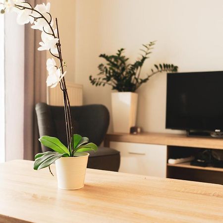 Apartament Przy Mocaku II Kraków Zewnętrze zdjęcie